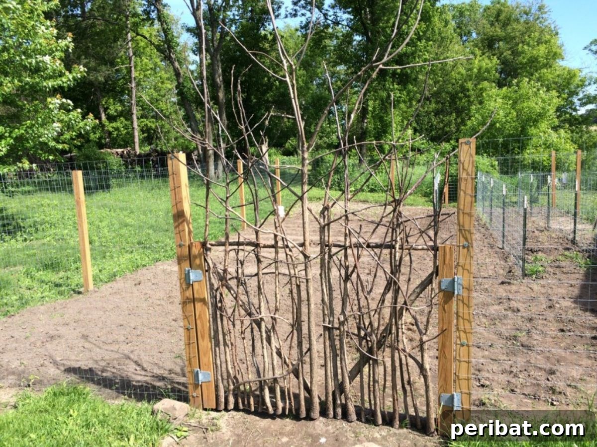 20 Creative DIY Garden Gate Designs 20 A beautifully crafted rustic DIY garden gate, embodying country charm.