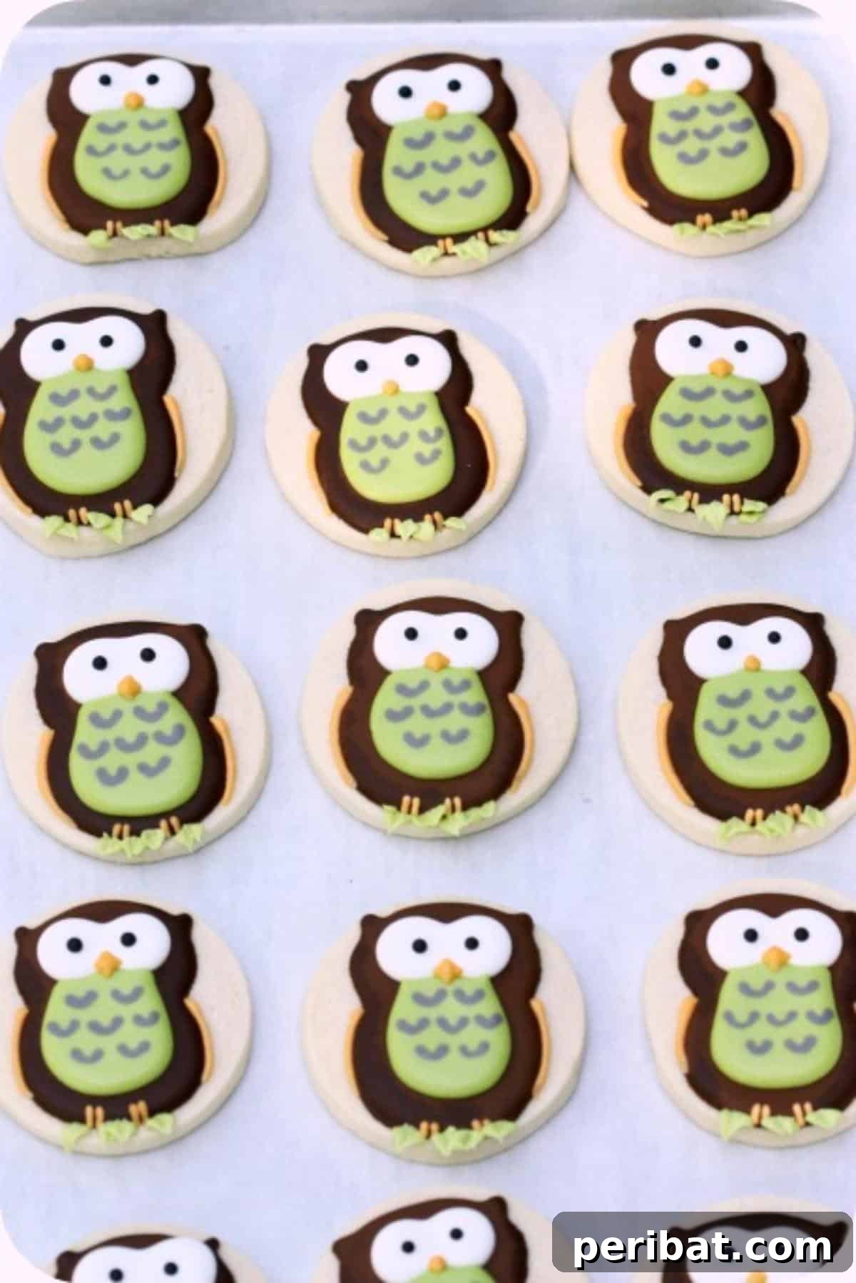 Homemade Fall Cookie Decorating Adventures 18 Decorated Owl Cookies