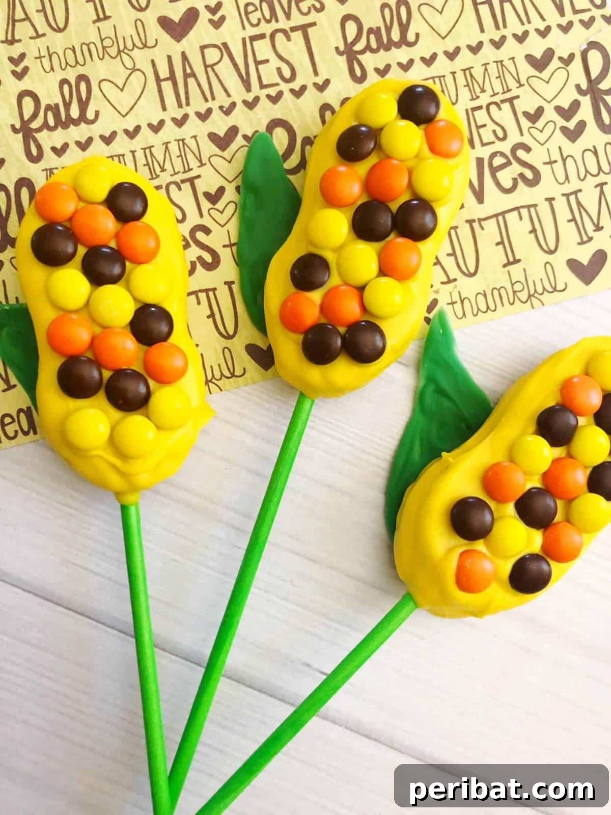 Homemade Fall Cookie Decorating Adventures 24 Autumn Harvest Cookies for the Perfect Fall Festival