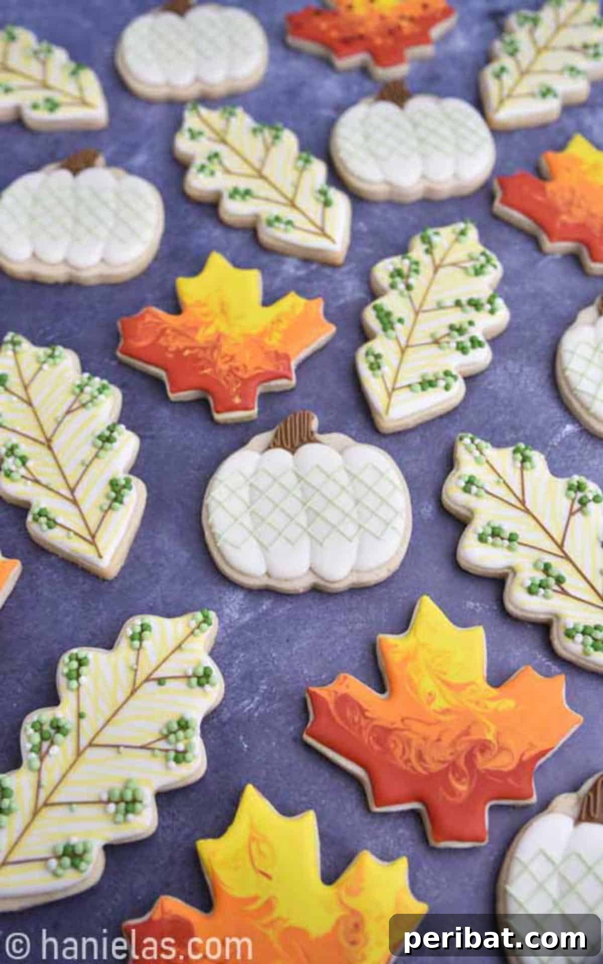 Homemade Fall Cookie Decorating Adventures 7 Simple Fall Cookies