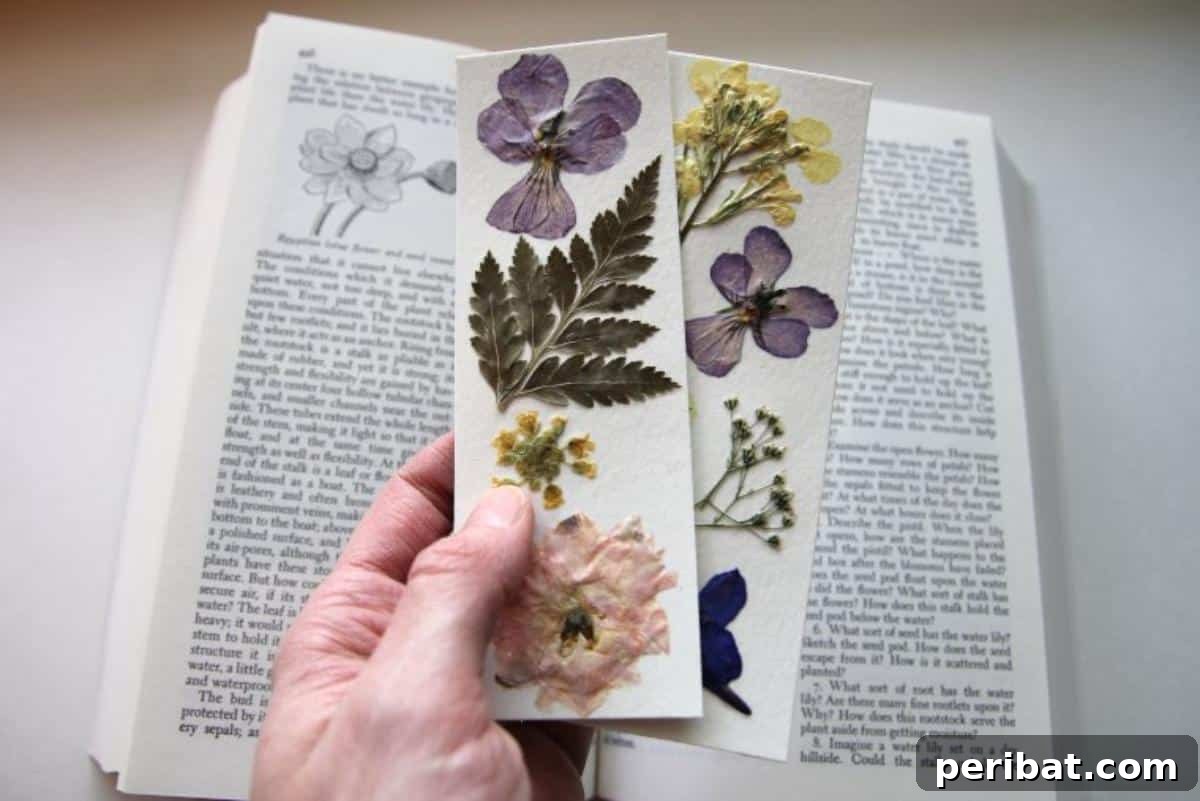 Creative Bookmark Crafts Made Simple 14 DIY Pressed Flower Bookmarks