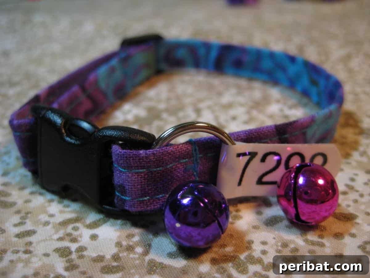 Cat Collar With Optional Bell, suitable for adventurous cats.