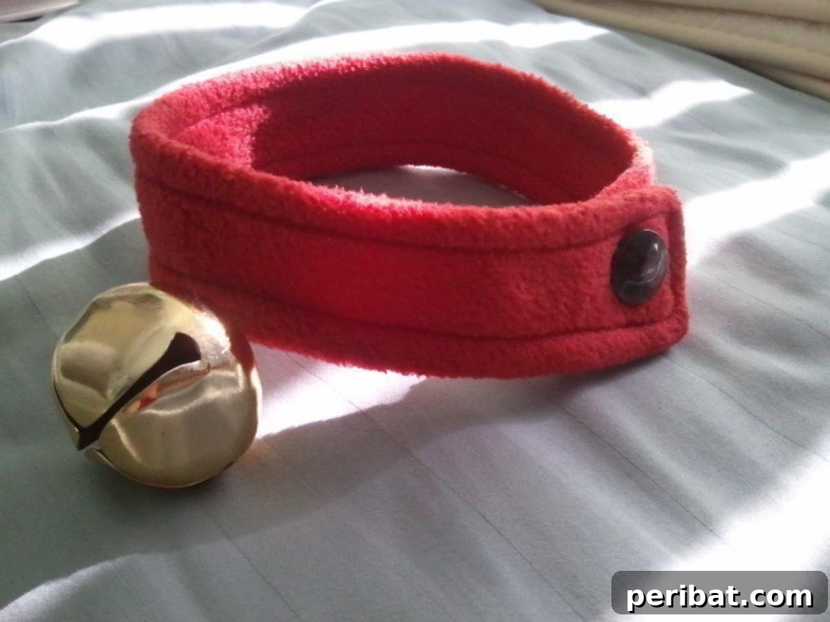 Simple & Easy Cat Collar, highlighting minimalist design.