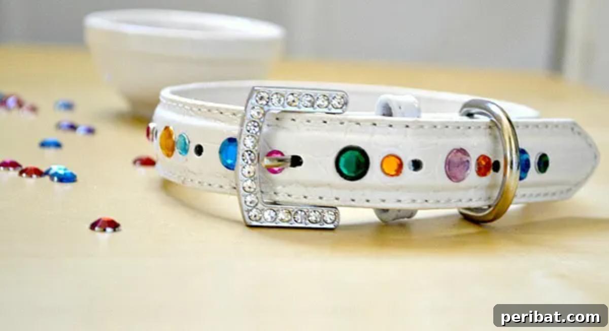DIY Bling Dog Collar, adaptable for cats with added rhinestones.