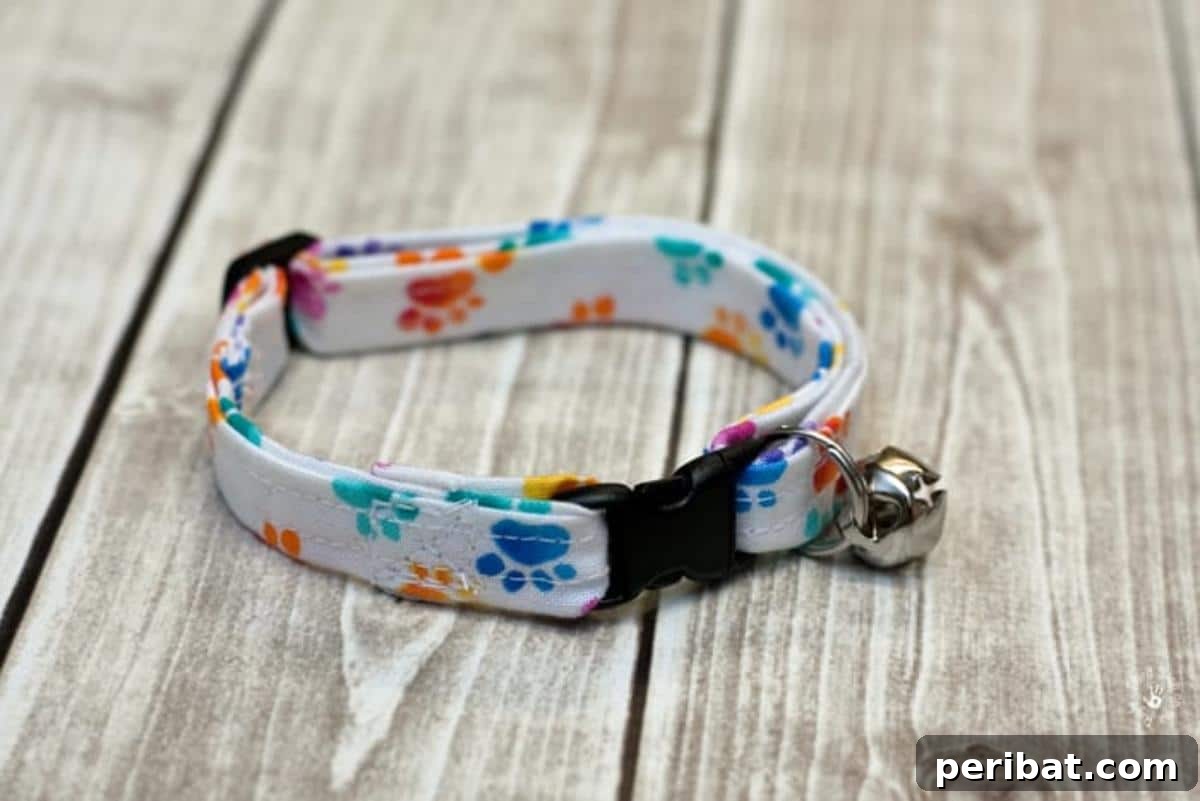 DIY Homemade Cat Collar, focusing on safety and personalization.