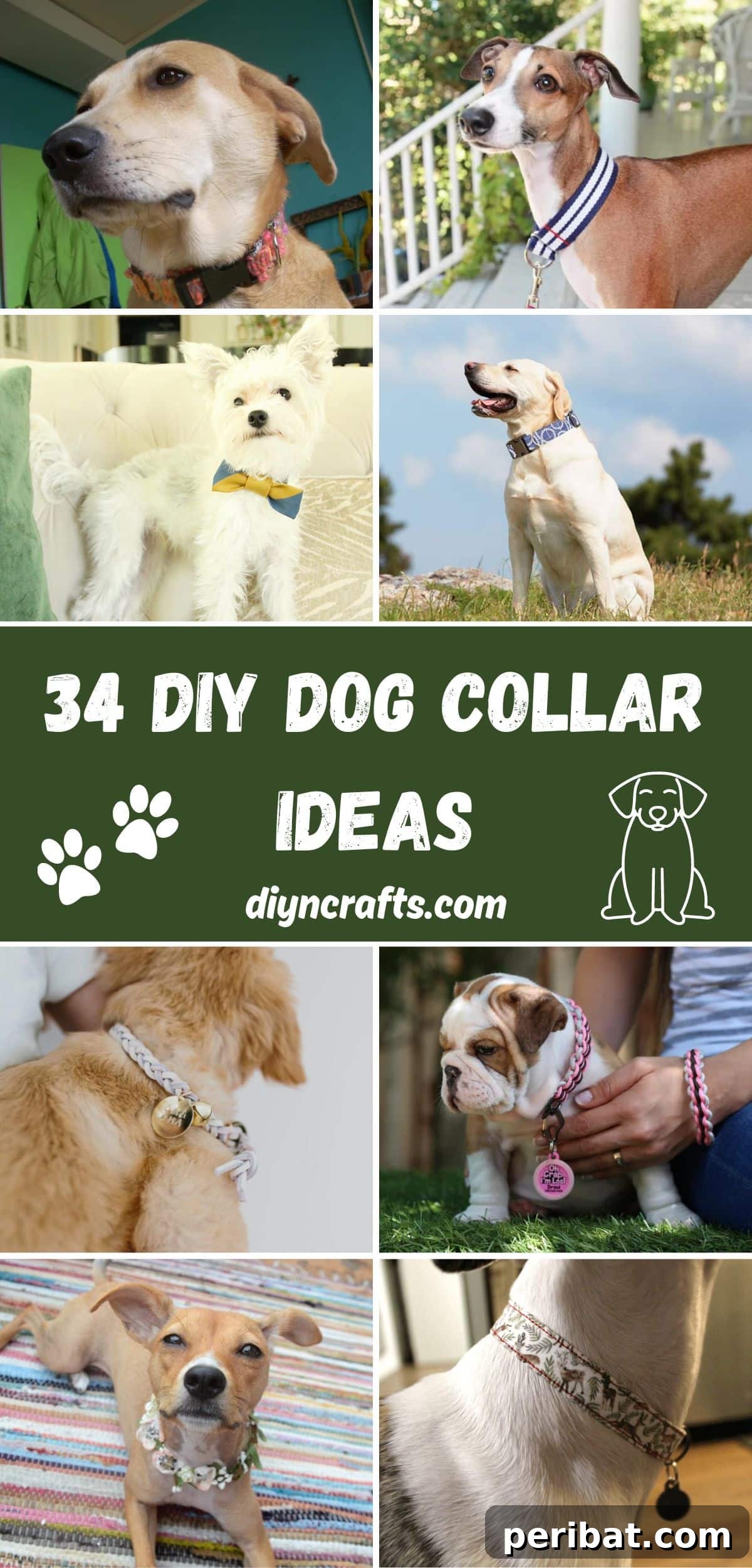 34 Creative Canine Collar Projects 2 34 DIY Dog Collar Ideas collage.