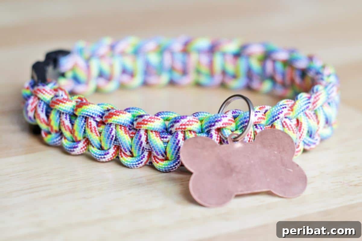 34 Creative Canine Collar Projects 14 Rainbow Paracord Dog Collar