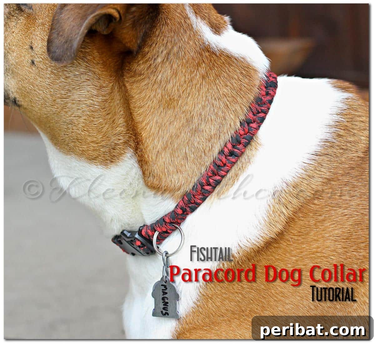 34 Creative Canine Collar Projects 20 Fishtail Paracord Dog Collar