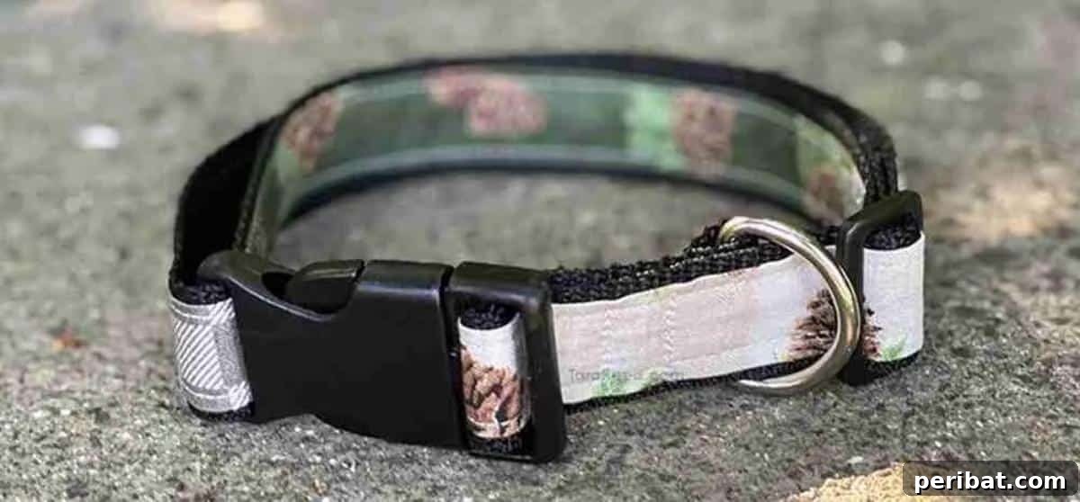 34 Creative Canine Collar Projects 23 DIY Dog Collar Using Fabric Scraps and Nylon Webbing