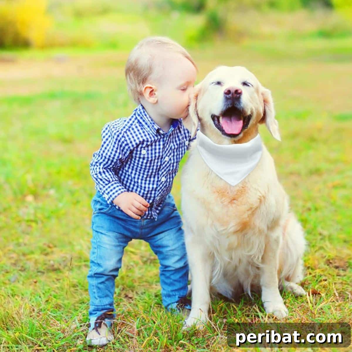 34 Creative Canine Collar Projects 34 Hacraho DIY Dog Bandana Collar for Large Dogs
