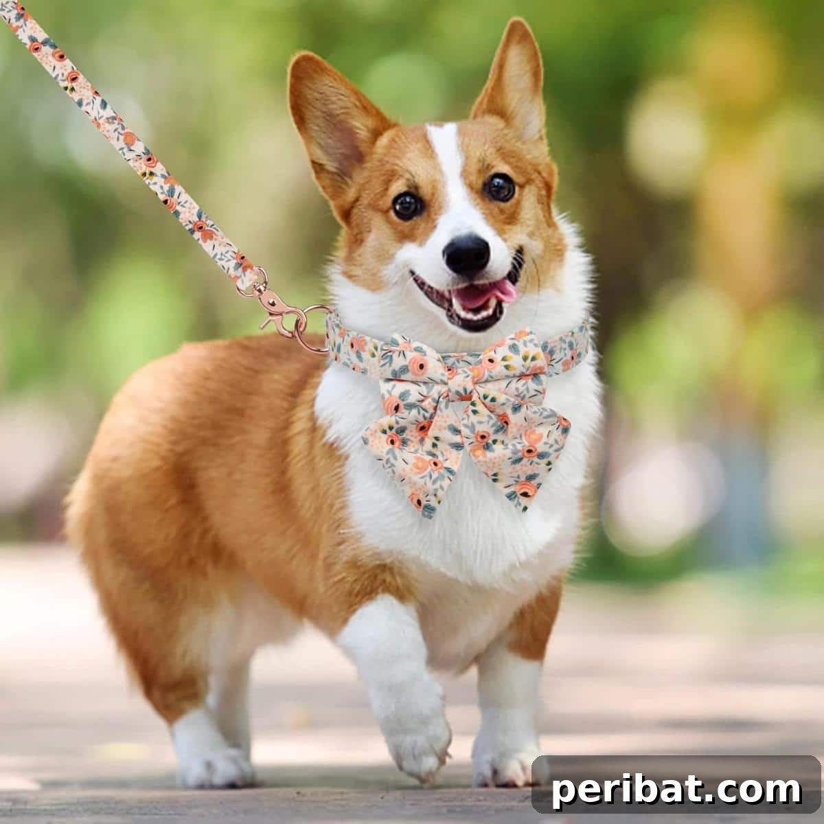 34 Creative Canine Collar Projects 36 DIY Female Flower Dog Collar With Rose Gold Metal Buckle
