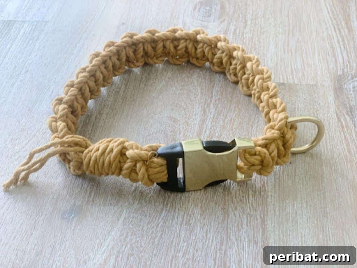 34 Creative Canine Collar Projects 6 DIY Macrame Dog Collar