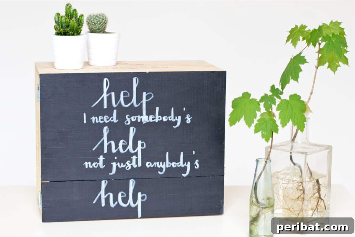 30 Clever DIY Medicine Cabinet Solutions 19 DIY Medicine Cabinet Out of an Upcycled Wine Box