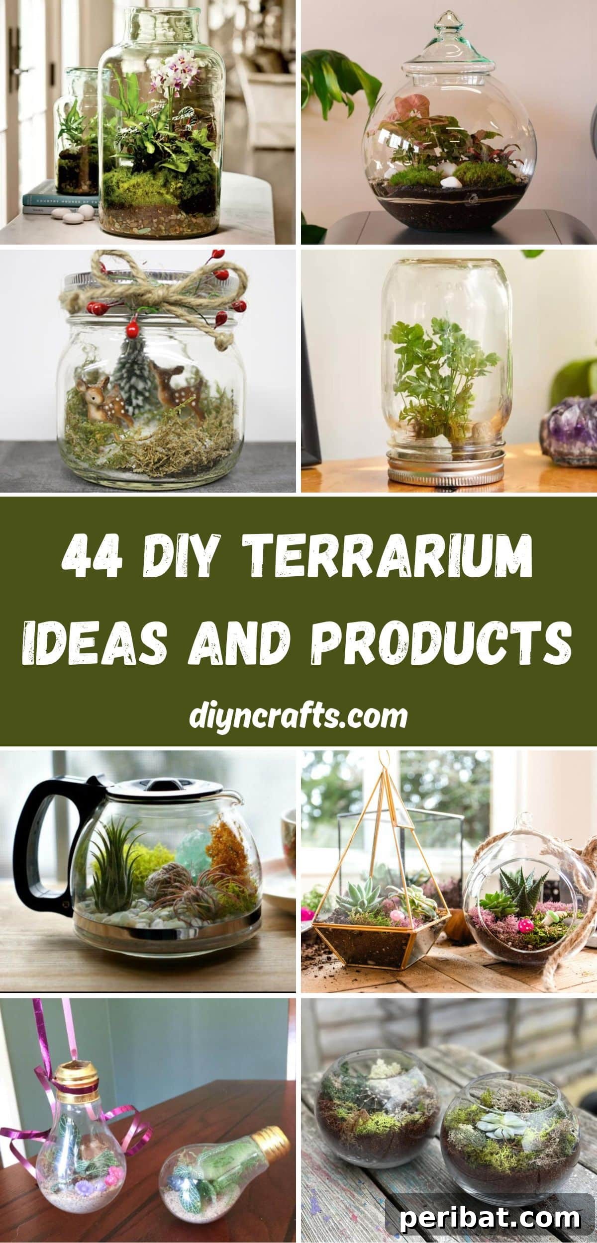 44 DIY Terrarium Ideas and Products collage.