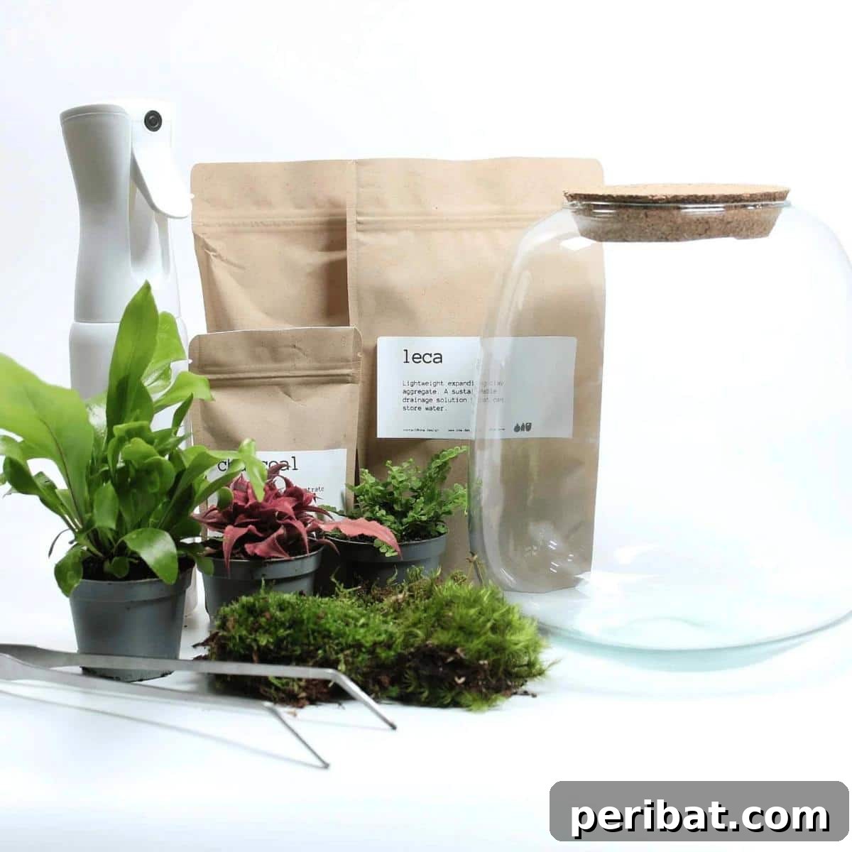 DIY terrarium kit.