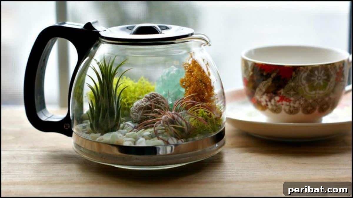 Adorable DIY Terrarium