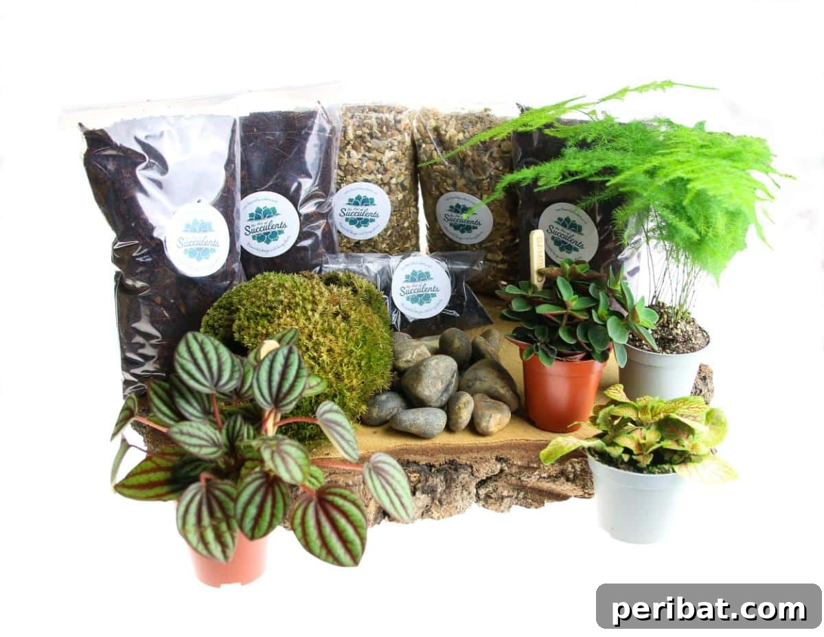 Closed Terrarium Starter Kit