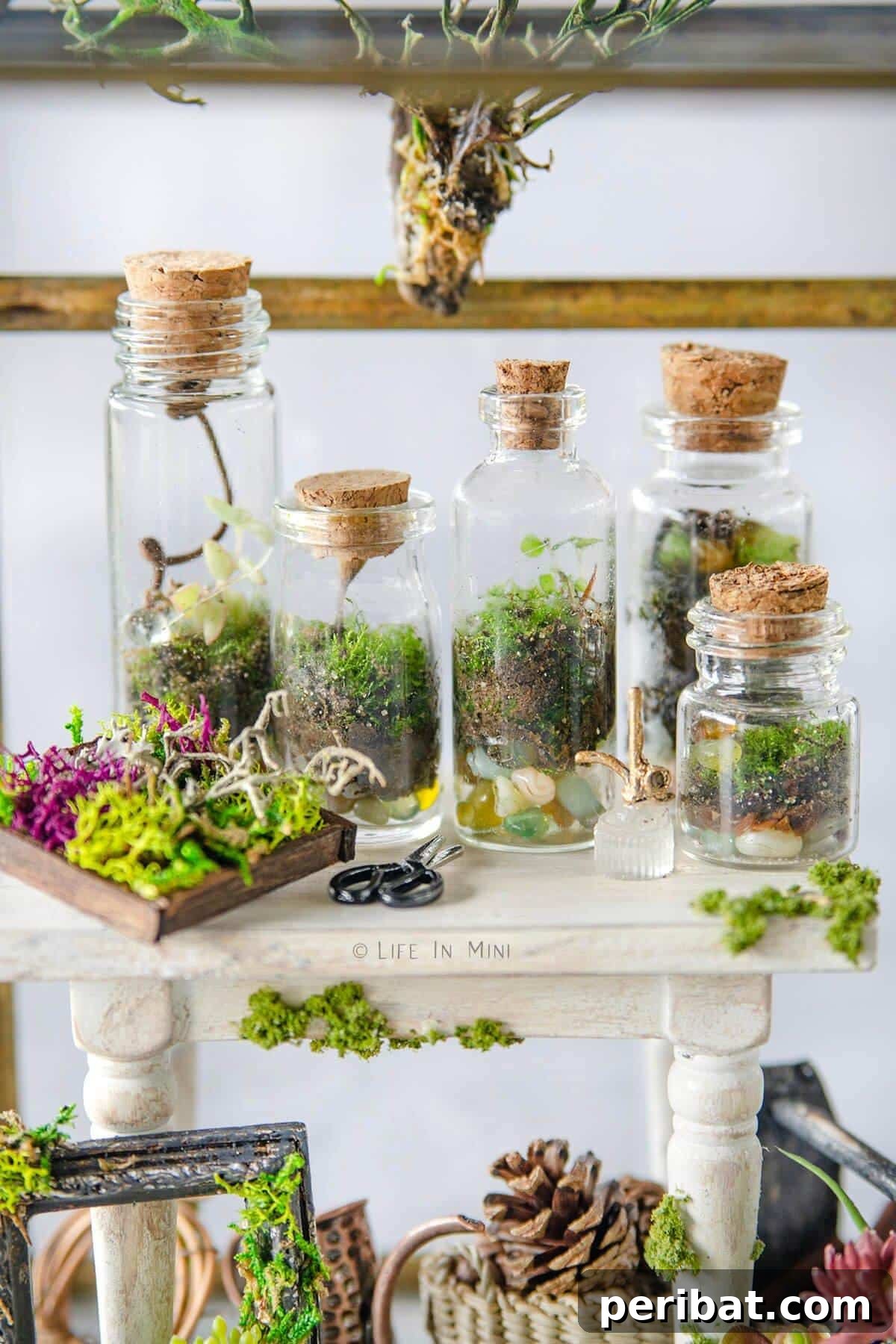 DIY Mini Terrariums