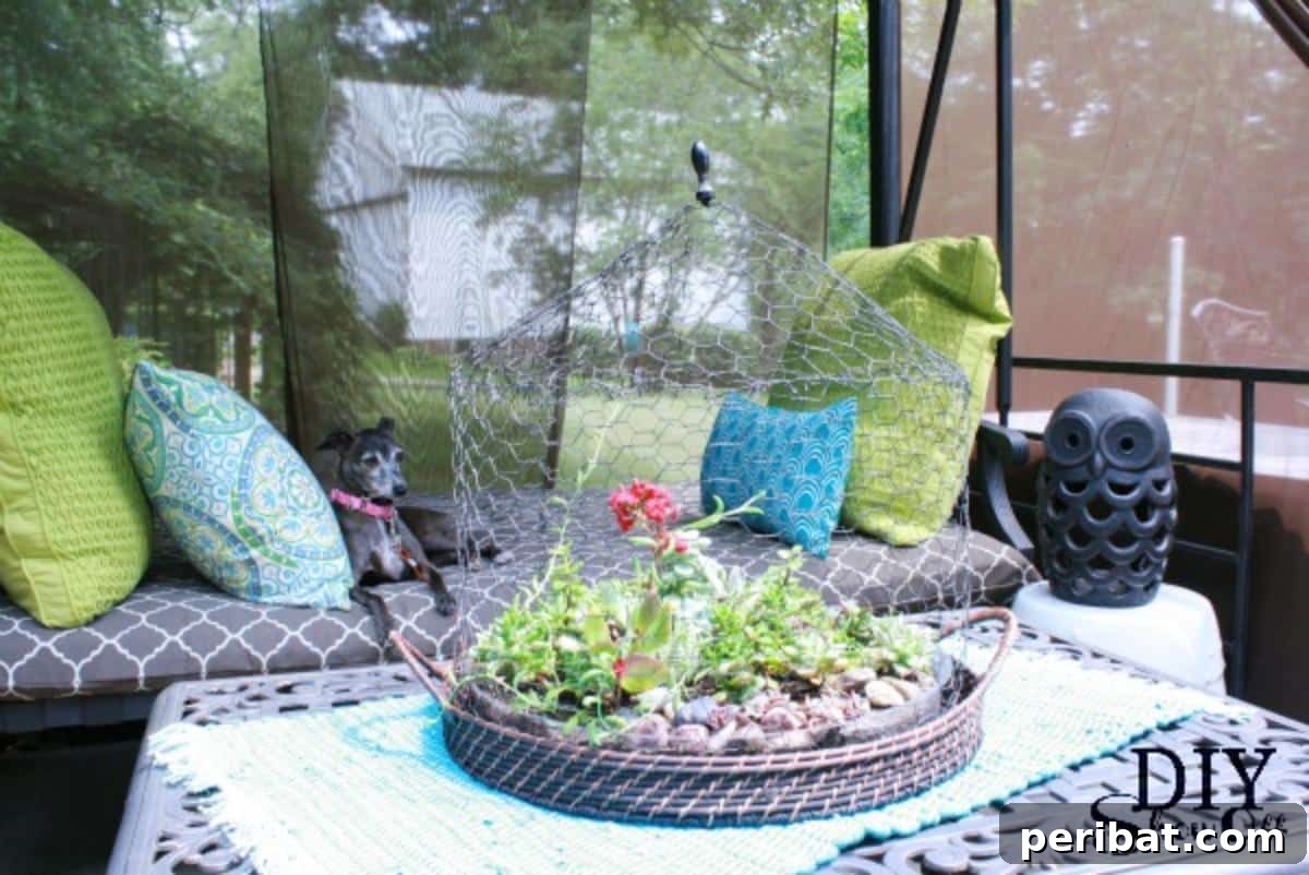 DIY Wire Cloche Succulent Terrarium