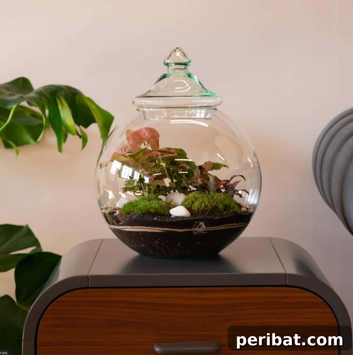 Round Closed DIY Terrarium 