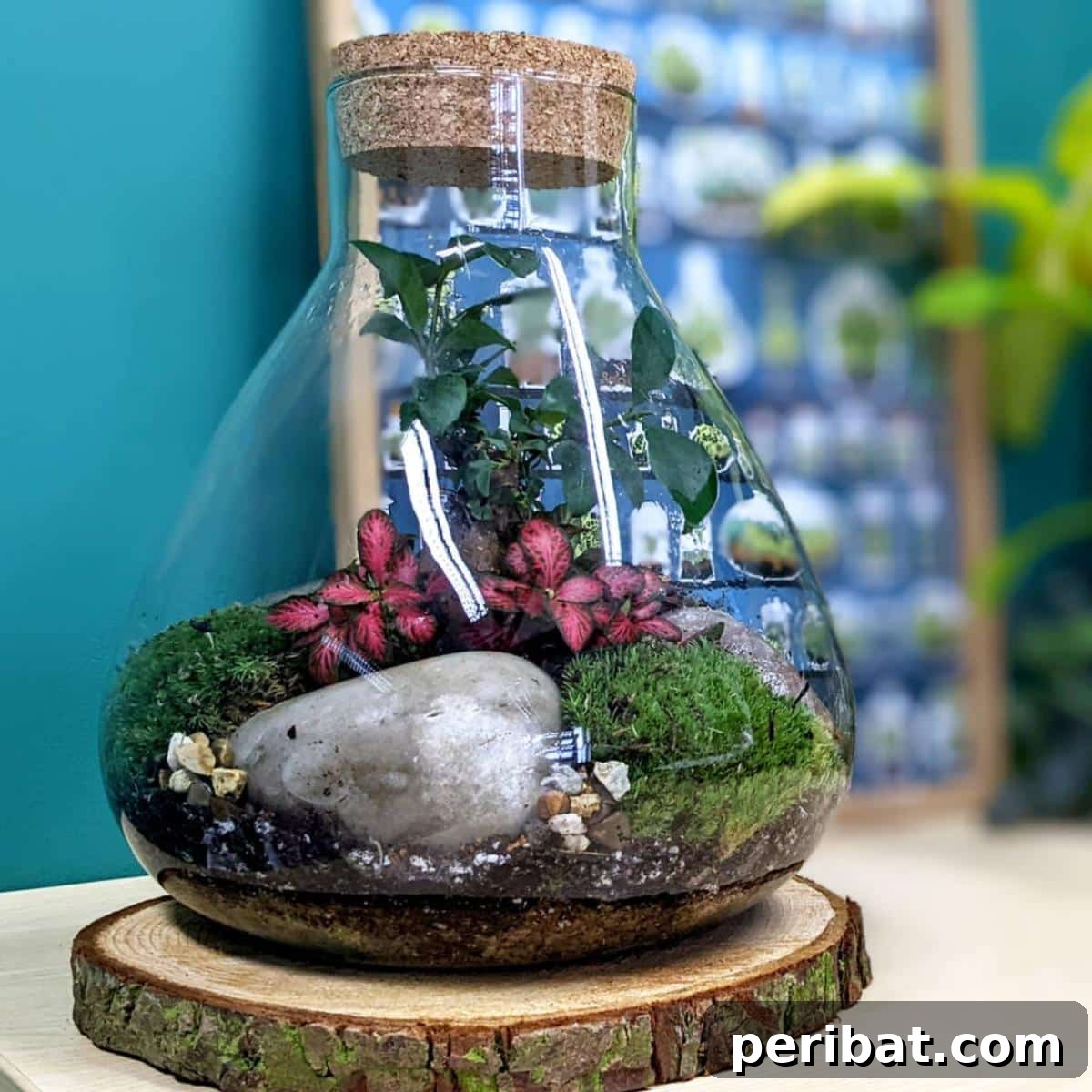 DIY Large Conical Terrarium 