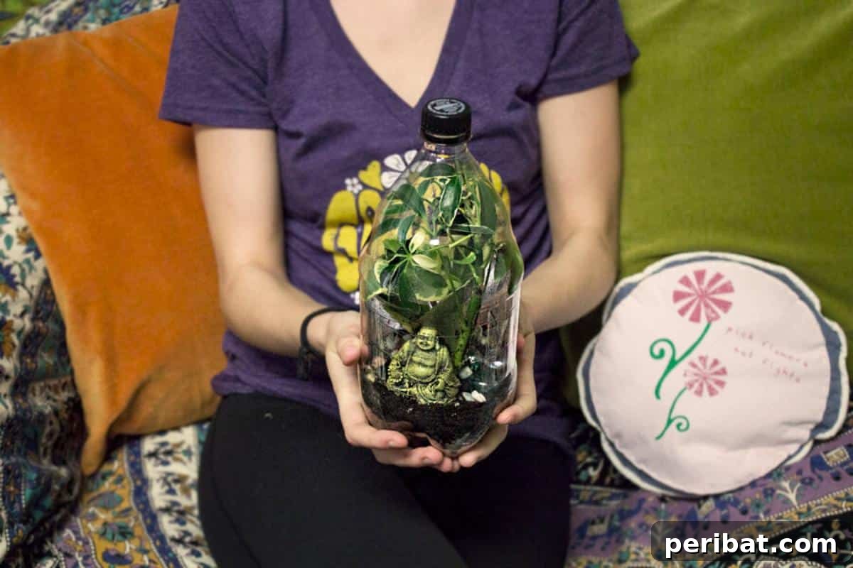 DIY Plastic Bottle Terrarium