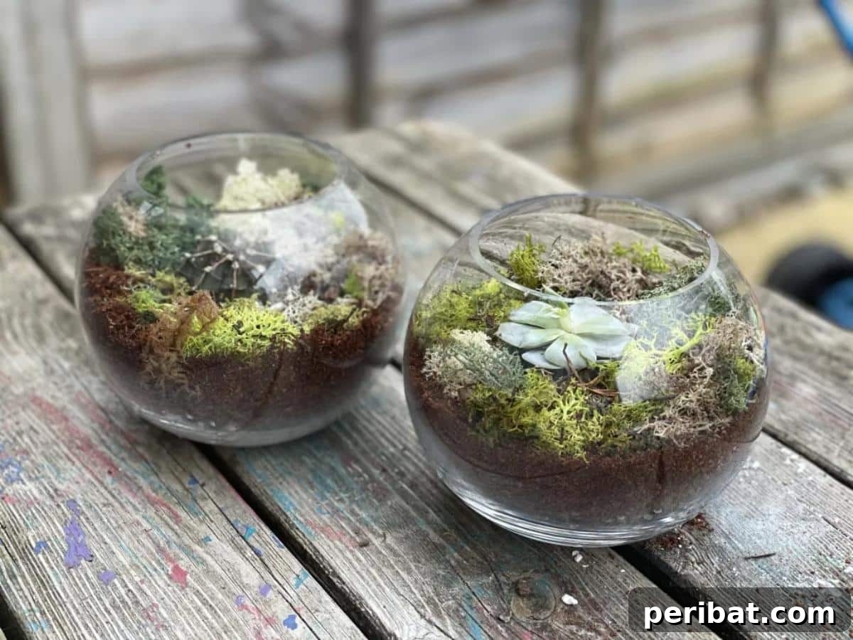 DIY glass terrariums.