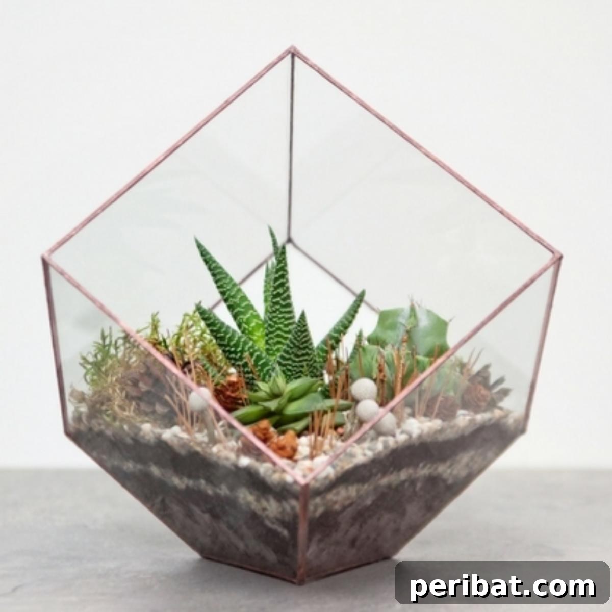 DIY Terrarium