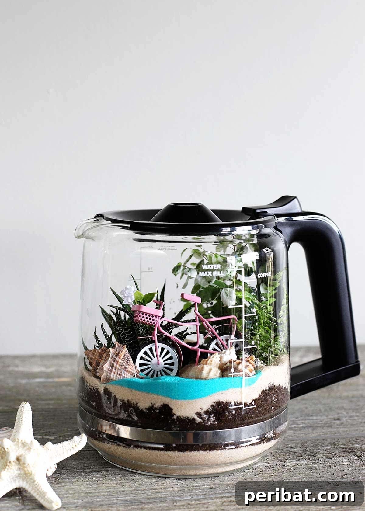 DIY Coffee Pot Terrarium