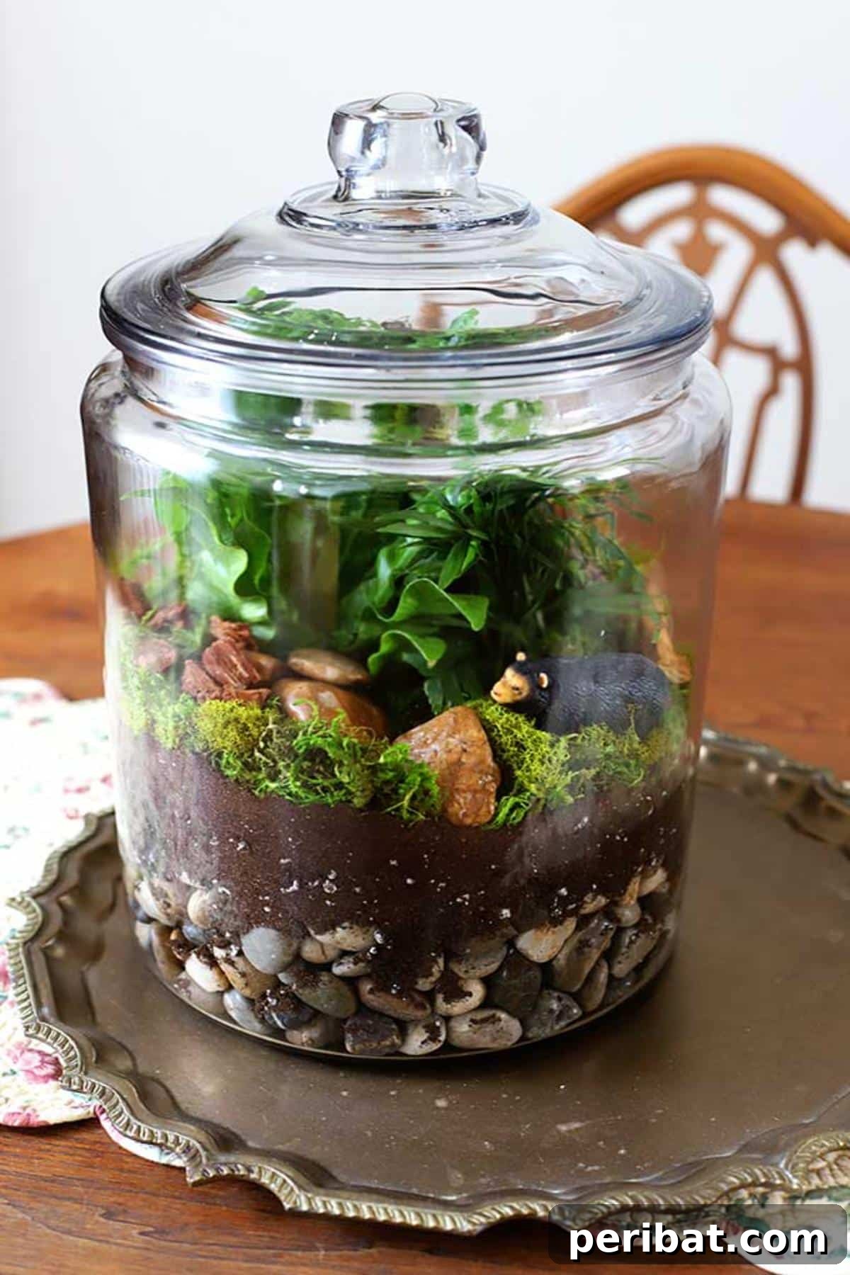 DIY Terrarium
