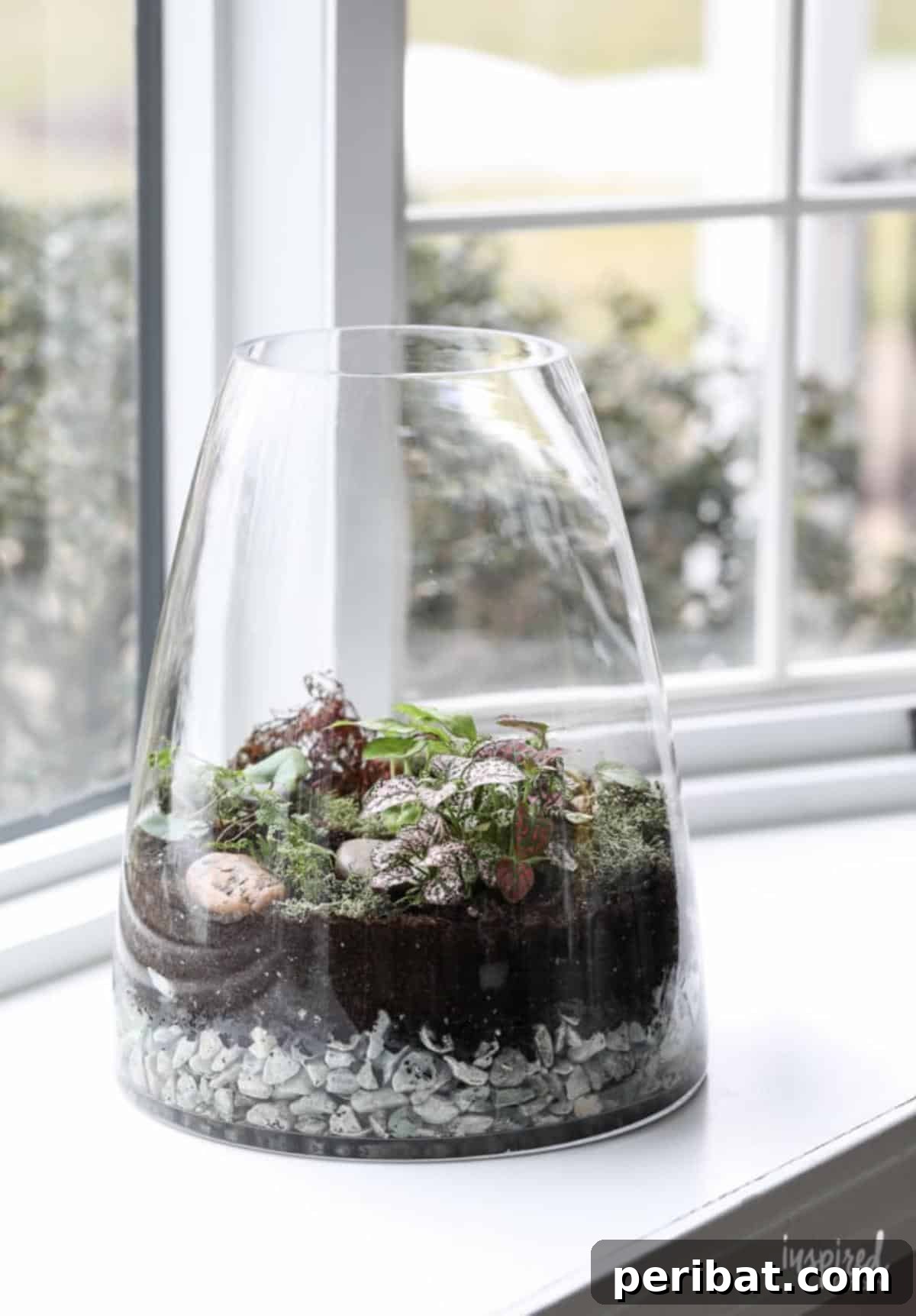 DIY terrarium on a windowsill.
