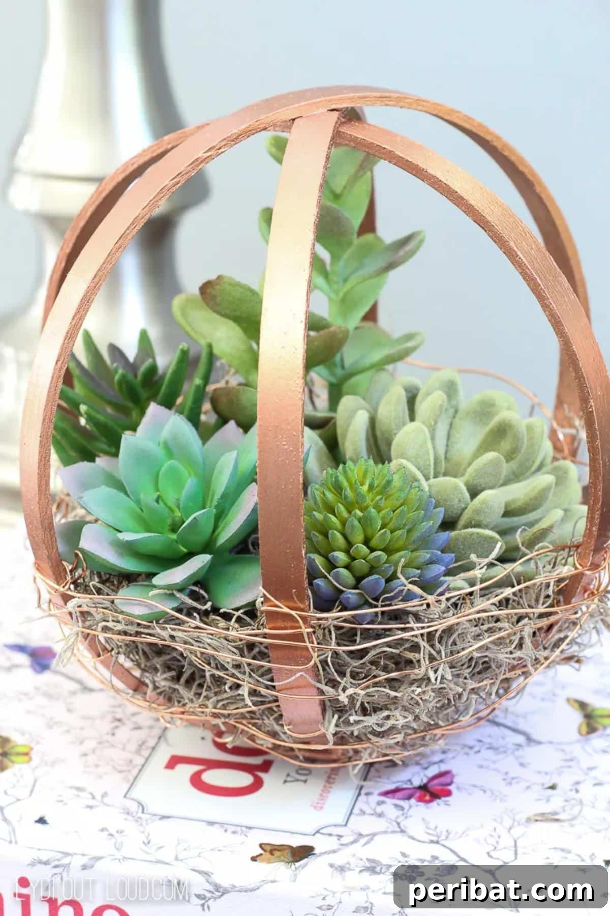 Embroidery Hoop DIY Terrarium Globe