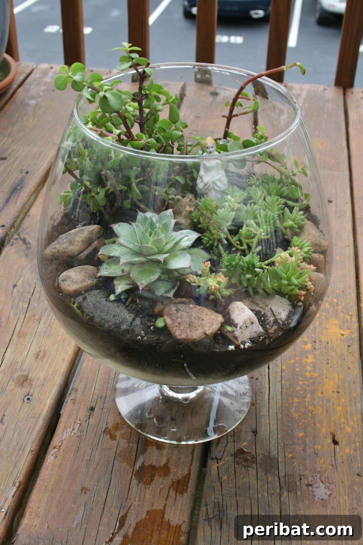 DIY Fish Bowl Terrarium