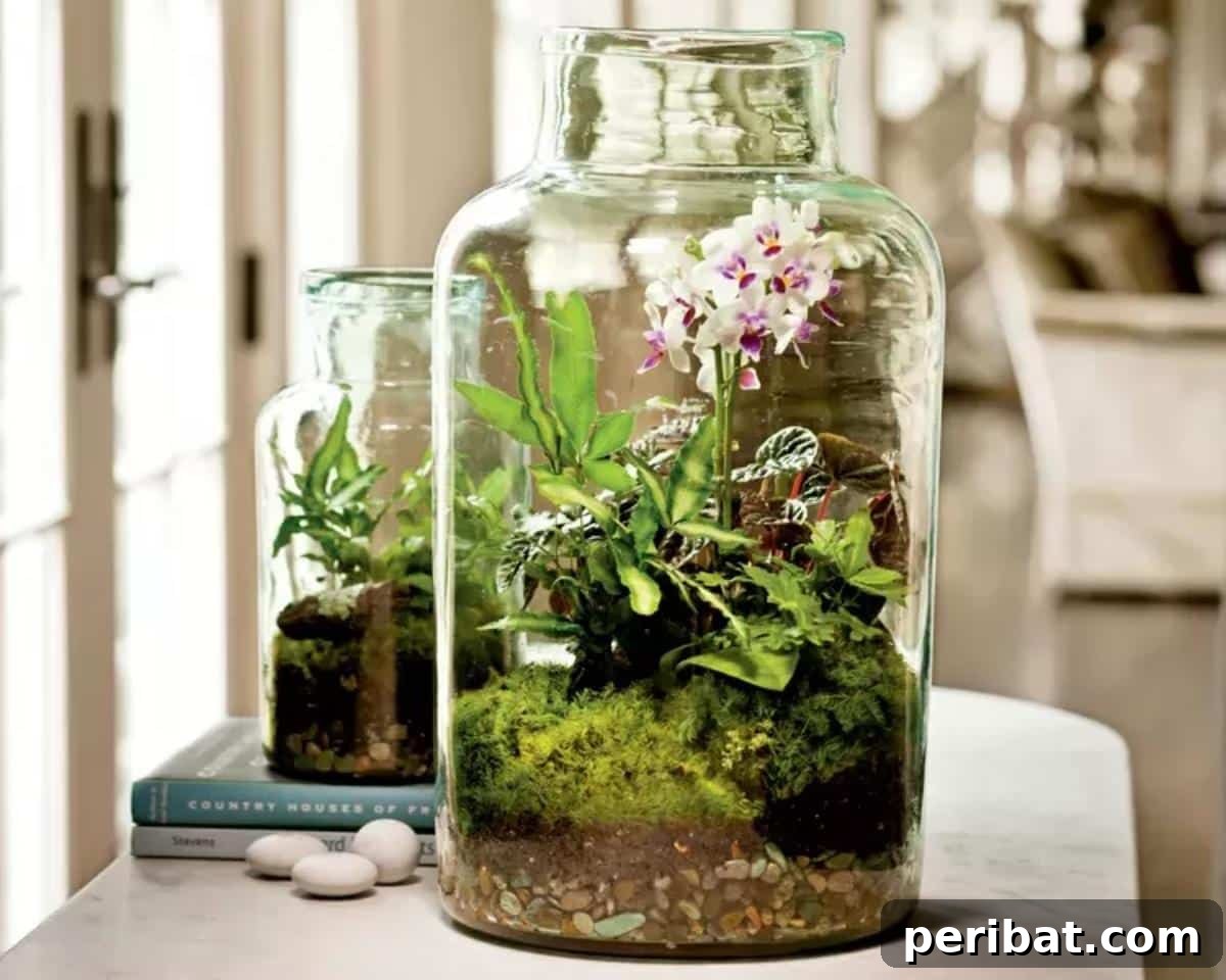 DIY terrariums.