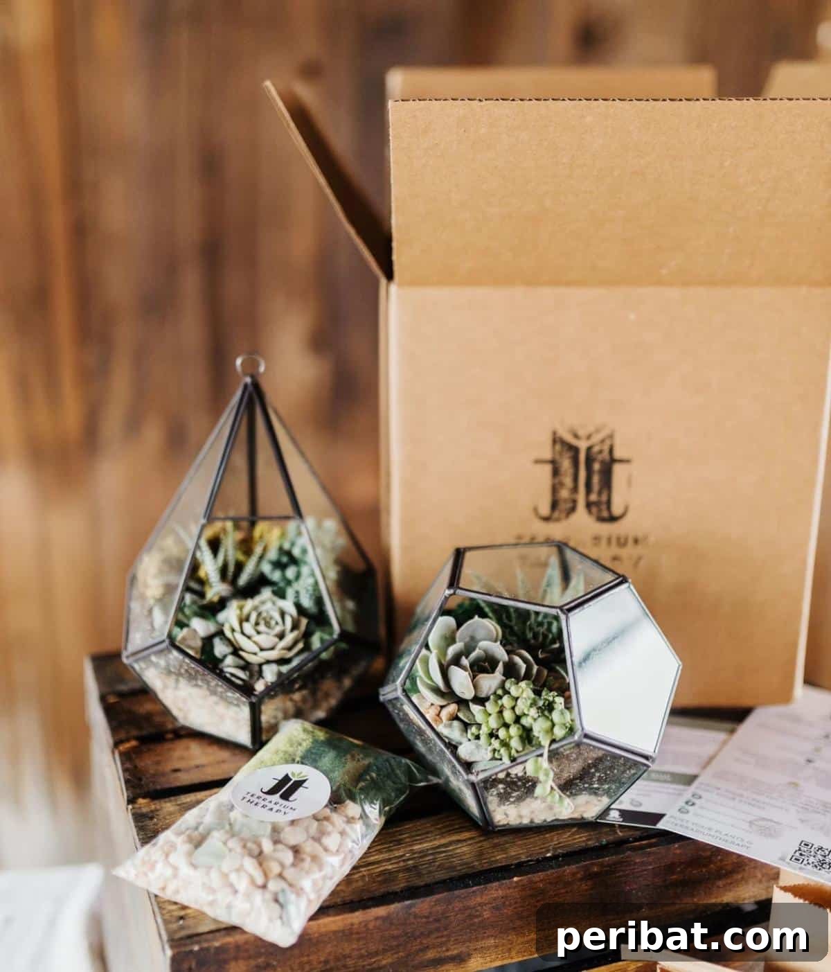 Geoprism Succulent Terrarium - DIY Kit