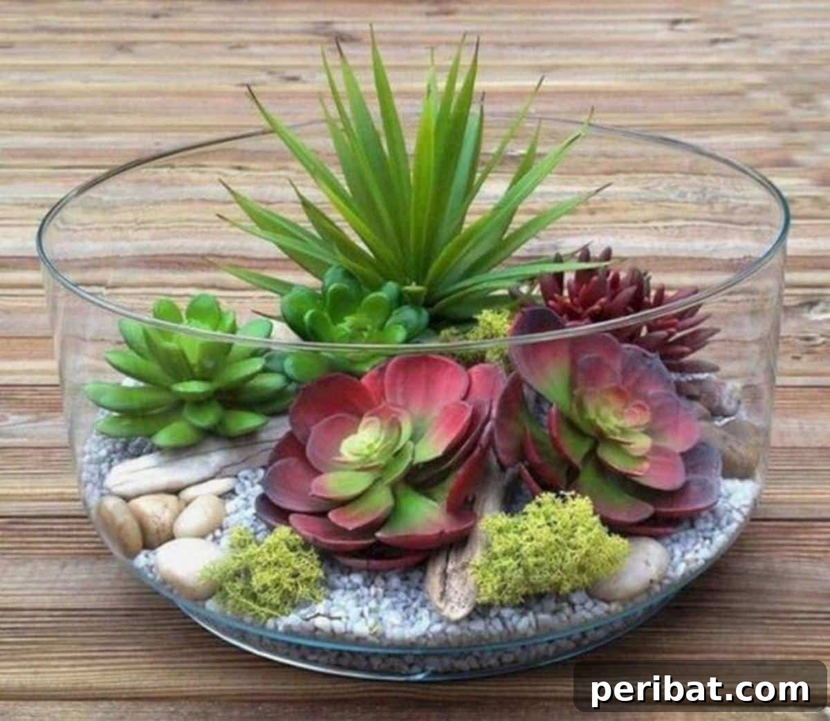 DIY succulent terrarium.