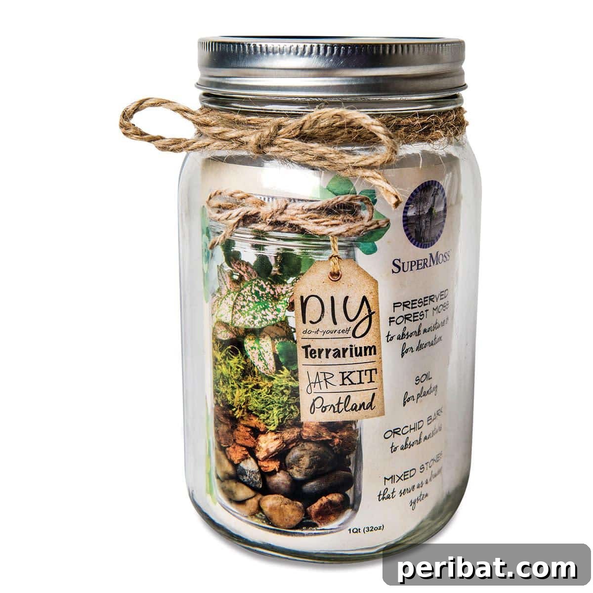 SuperMoss DIY Terrarium Jar Kit