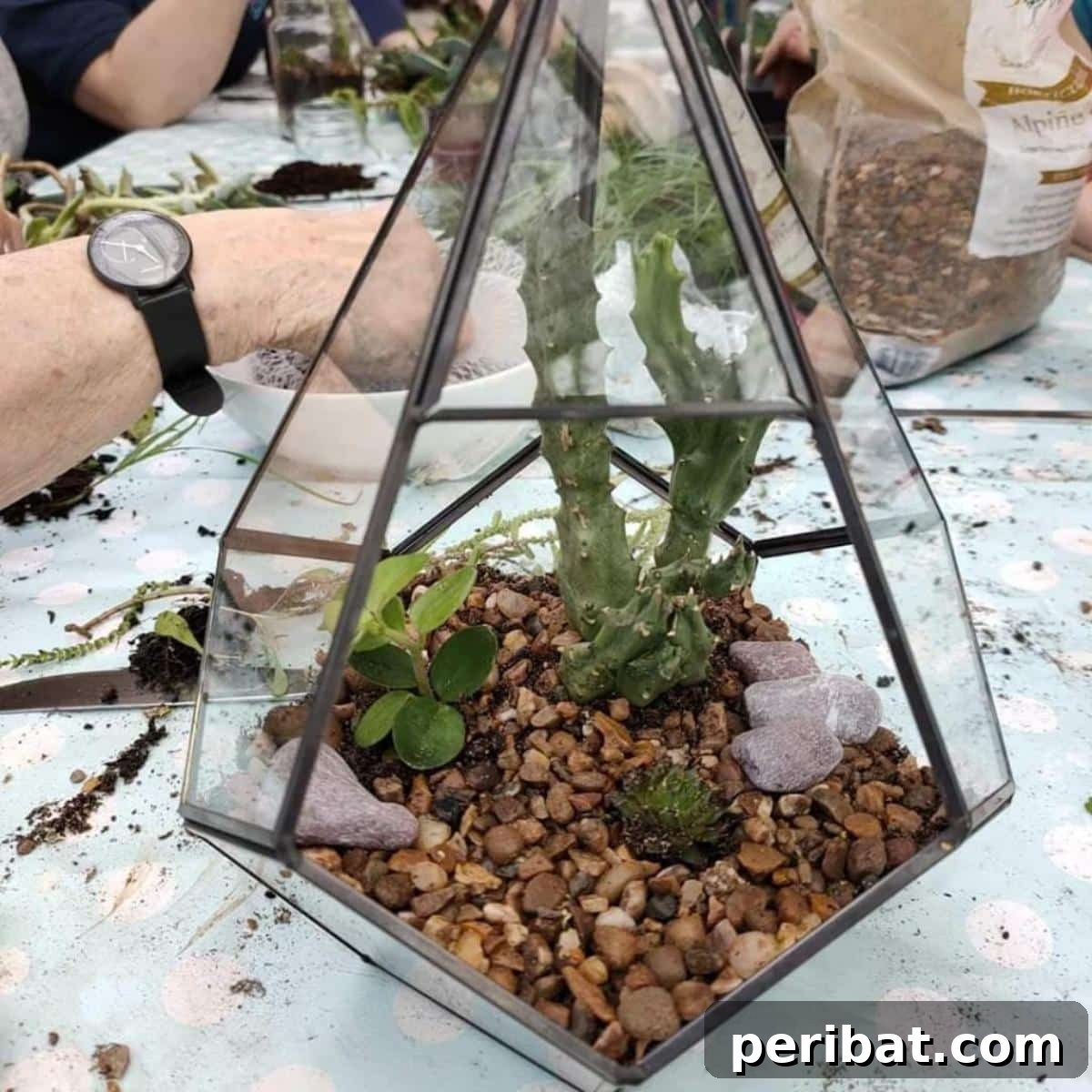 DIY terrarium.