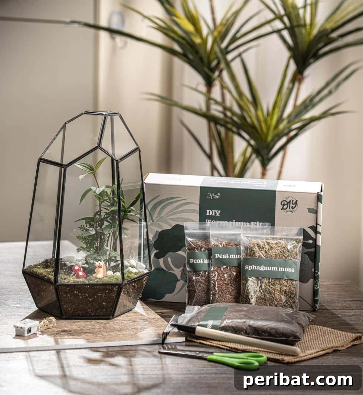 Large Terrarium Kit DIY