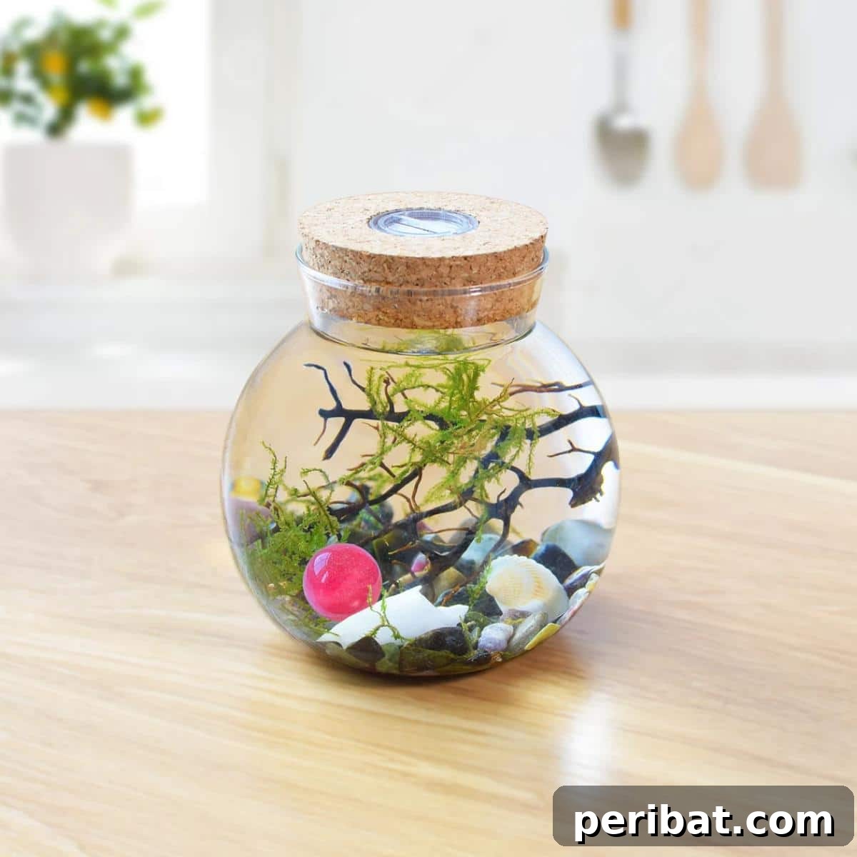 Mini Java Moss DIY Terrarium 
