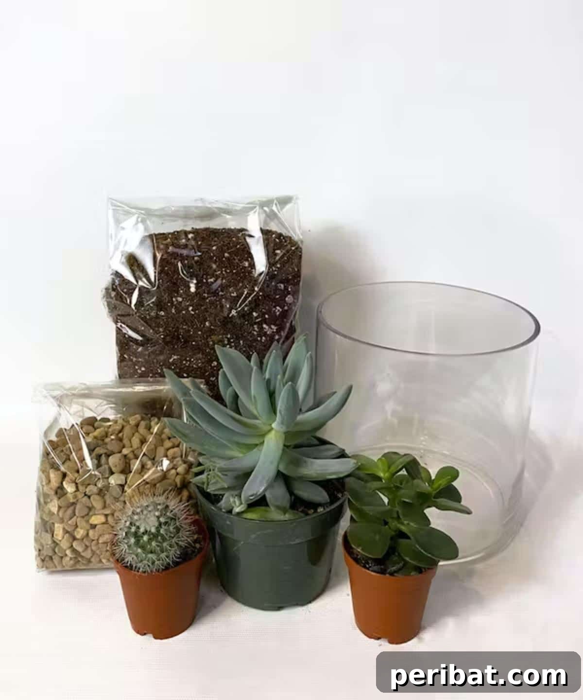 DIY Succulent Terrarium kit