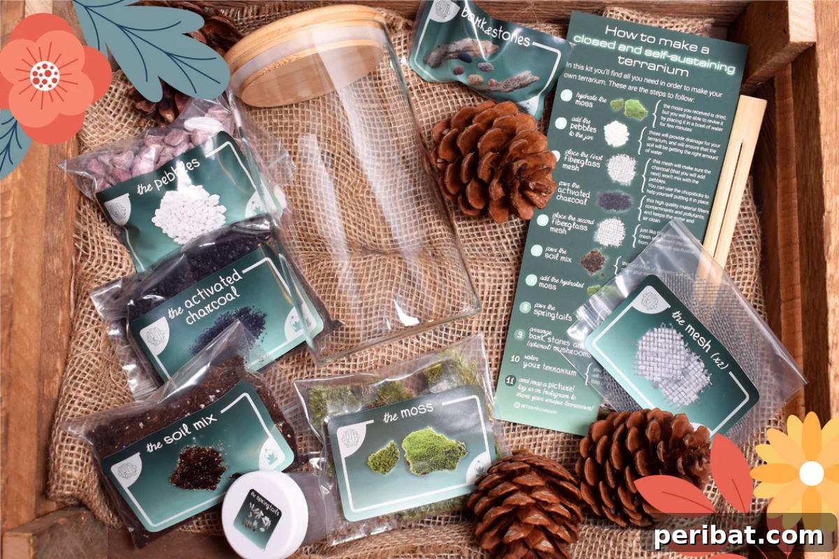 DIY Terrarium KIT