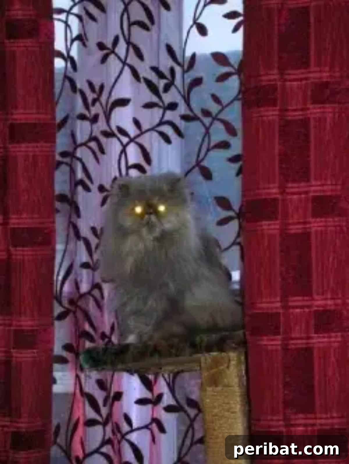 Feline Fun Zones 20 Easy DIY Builds 12 DIY Cat Tower