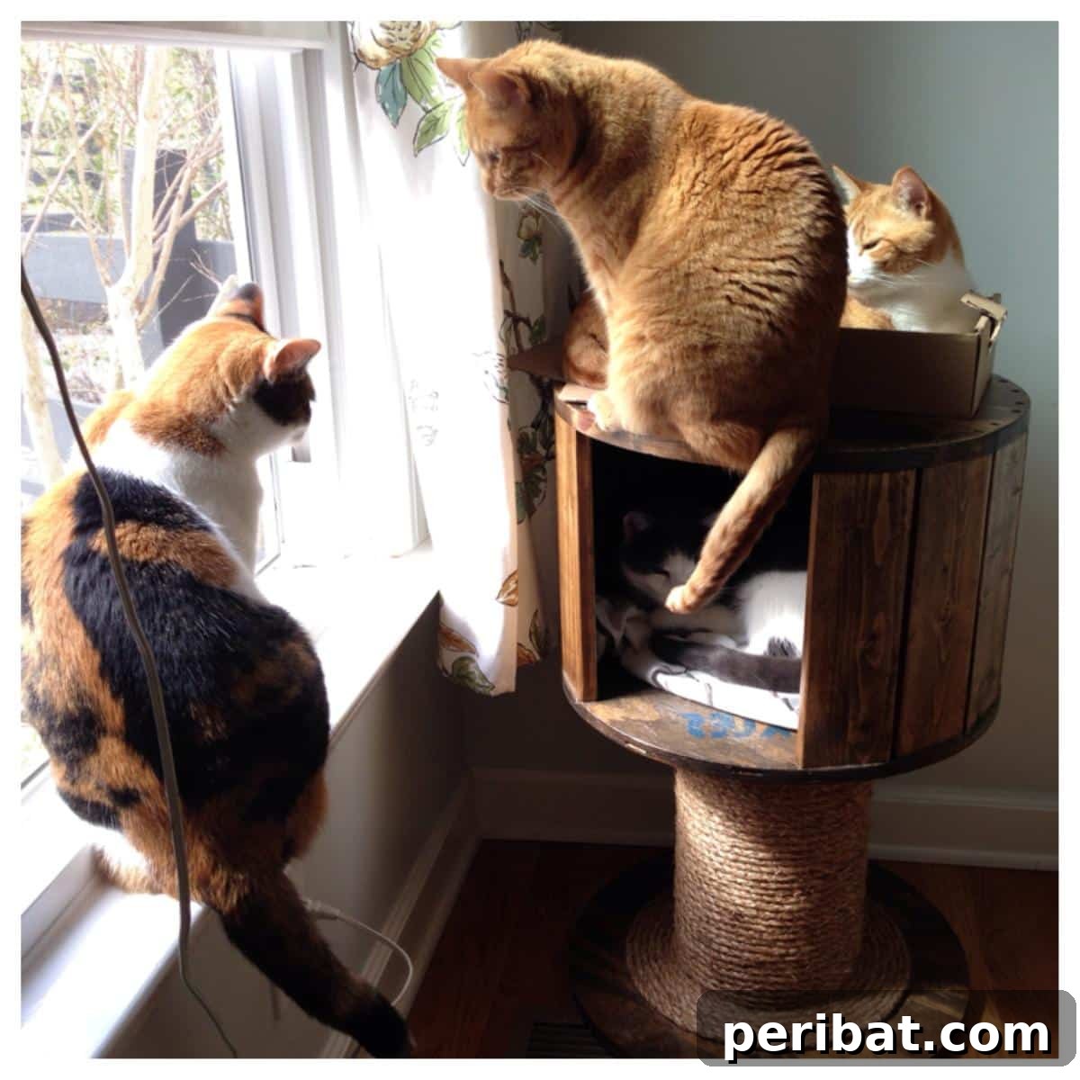 Feline Fun Zones 20 Easy DIY Builds 14 DIY Cat Tree and Scratching Post