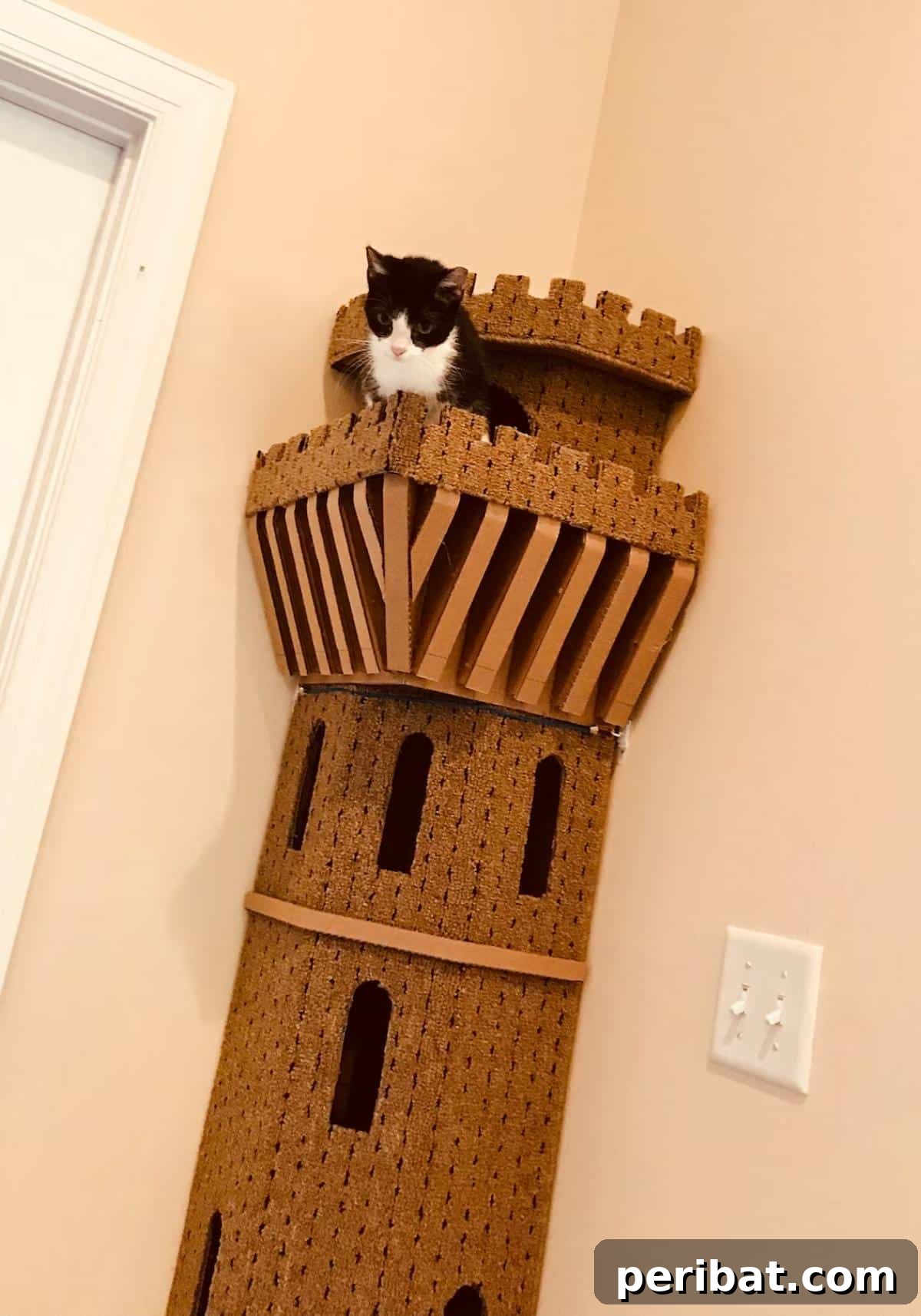 Feline Fun Zones 20 Easy DIY Builds 17 DIY Cat Tower Corner - Plans & Patterns