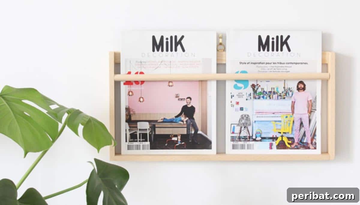 Chic and minimalist DIY Magazine Shelves with floating design