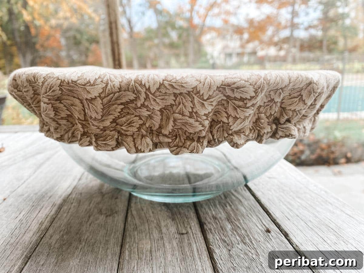 DIY Zero Waste Reusable Bowl Cover