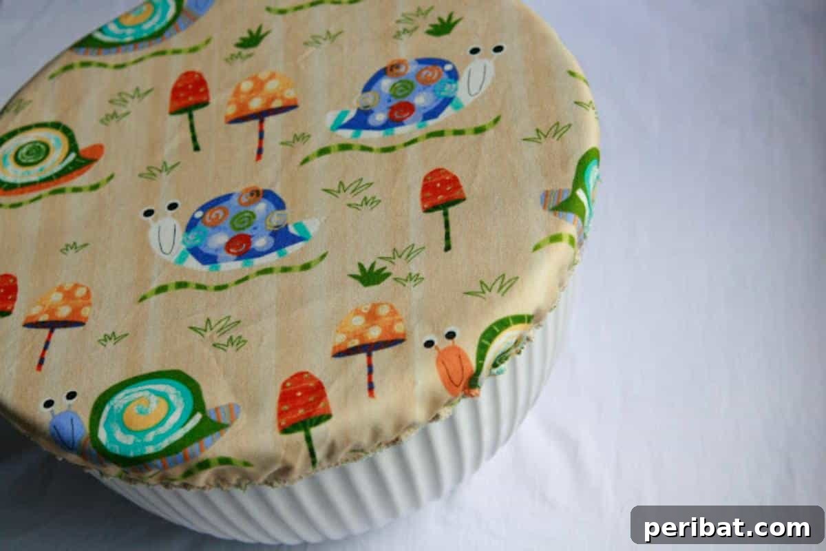 DIY No Plastic Wrap Bowl Cover