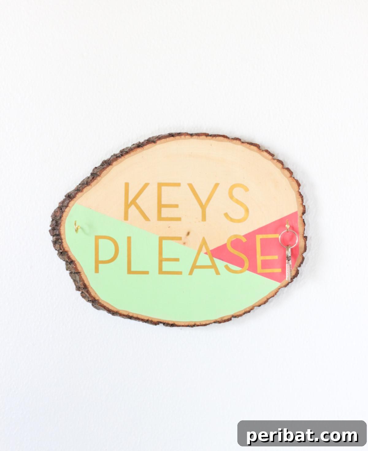 47 Clever DIY Key Holder and Organizer Projects 18 DIY Key Holder Wooden Slab