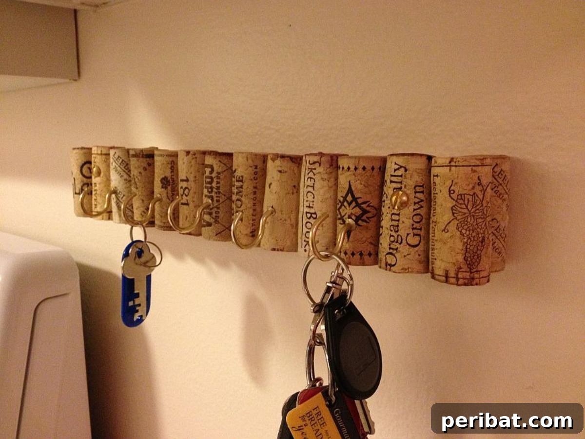 47 Clever DIY Key Holder and Organizer Projects 19 DIY Key Holder Wine Cork